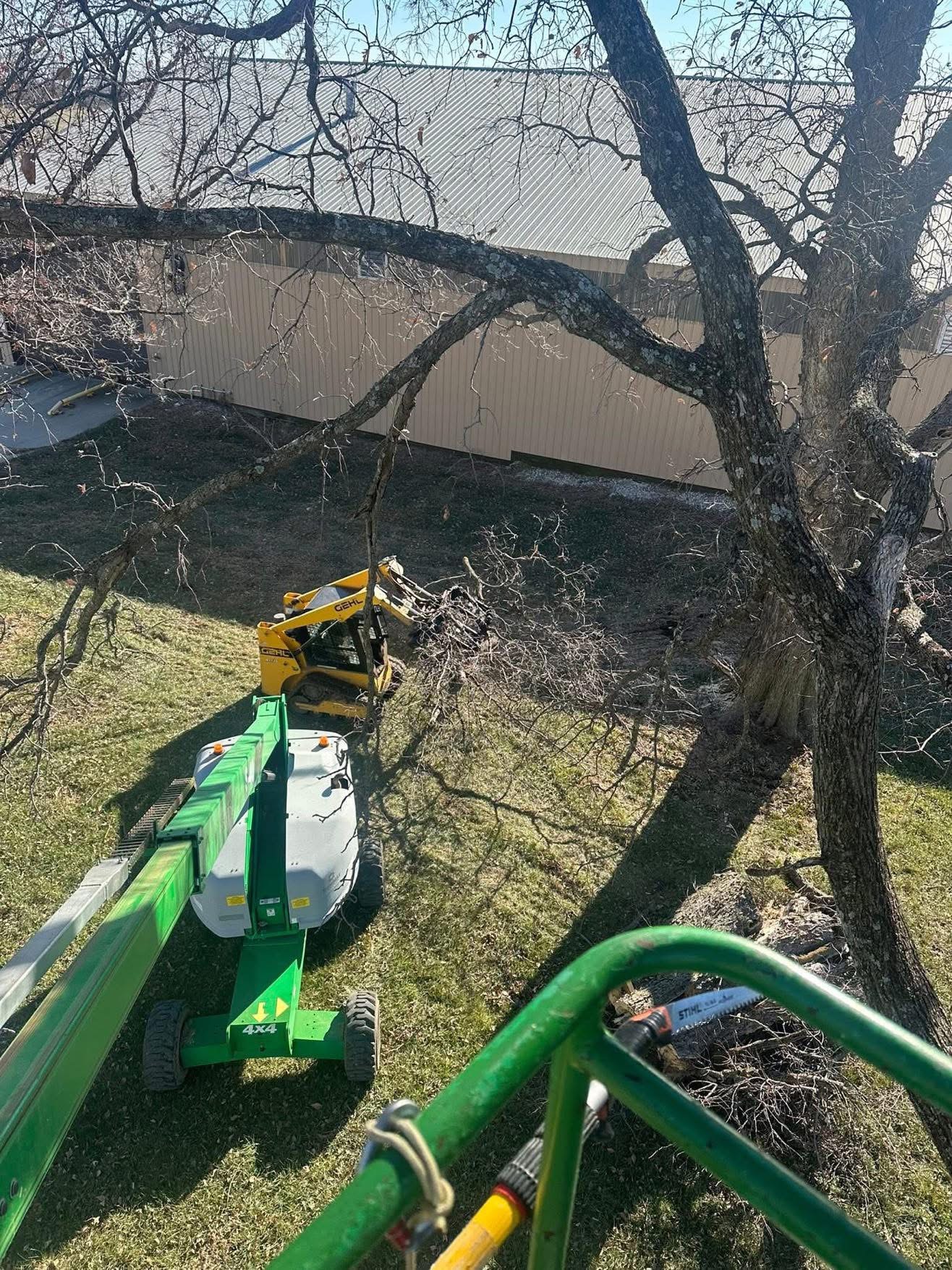 W&S Trees & Dirt | Tree Removal & Land Clearing in Warsaw ...
